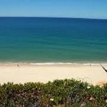 Casanova * 阿尔布费拉